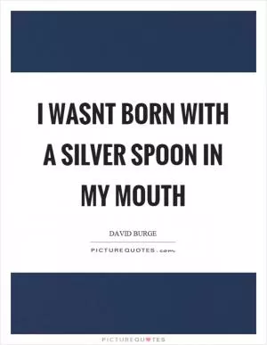 I wasnt born with a silver spoon in my mouth Picture Quote #1