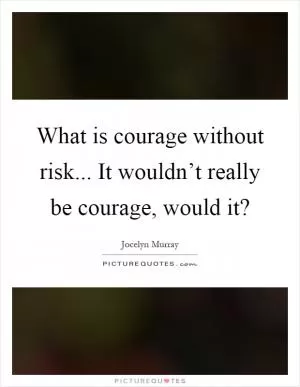 What is courage without risk... It wouldn’t really be courage, would it? Picture Quote #1