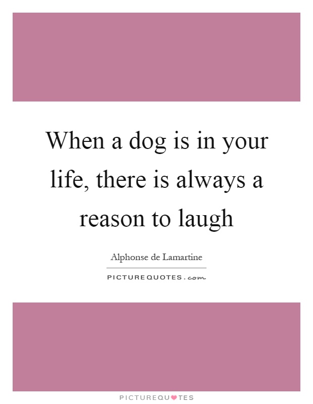 When a dog is in your life, there is always a reason to laugh Picture Quote #1