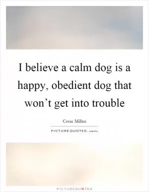 I believe a calm dog is a happy, obedient dog that won’t get into trouble Picture Quote #1