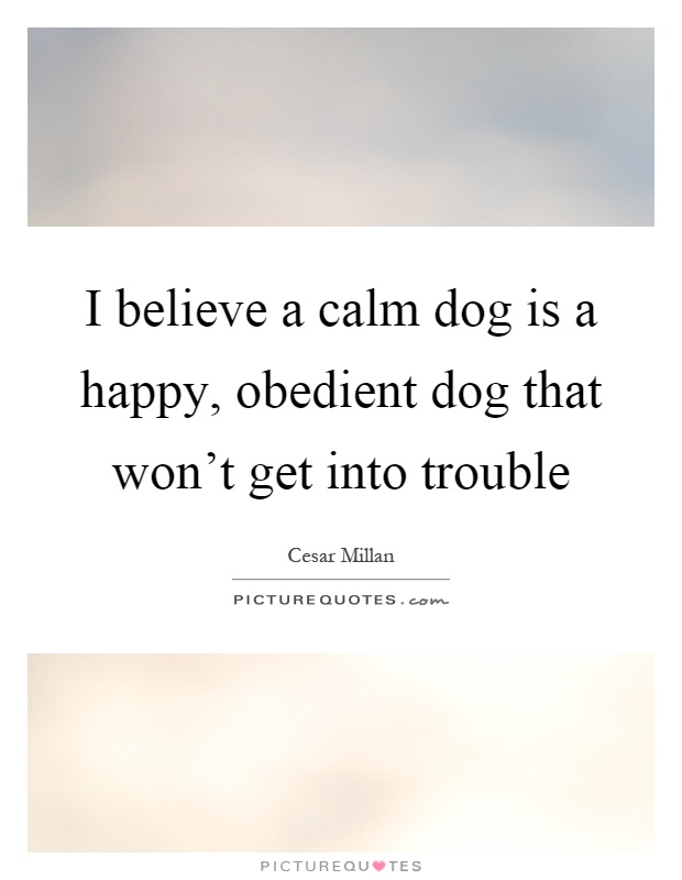 I believe a calm dog is a happy, obedient dog that won't get into trouble Picture Quote #1