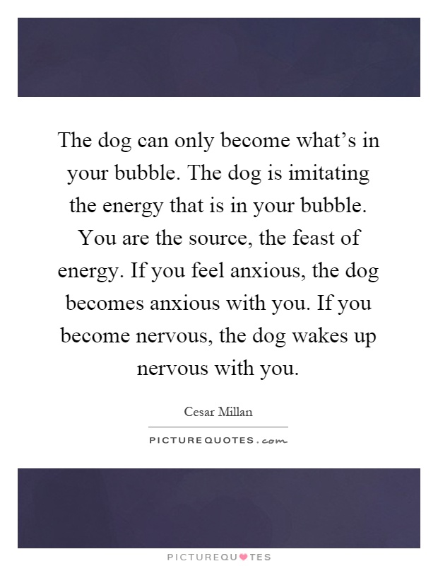 The dog can only become what's in your bubble. The dog is imitating the energy that is in your bubble. You are the source, the feast of energy. If you feel anxious, the dog becomes anxious with you. If you become nervous, the dog wakes up nervous with you Picture Quote #1
