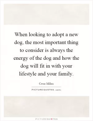 When looking to adopt a new dog, the most important thing to consider is always the energy of the dog and how the dog will fit in with your lifestyle and your family Picture Quote #1