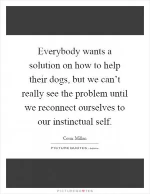 Everybody wants a solution on how to help their dogs, but we can’t really see the problem until we reconnect ourselves to our instinctual self Picture Quote #1