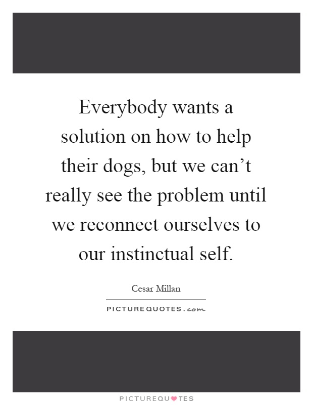 Everybody wants a solution on how to help their dogs, but we can't really see the problem until we reconnect ourselves to our instinctual self Picture Quote #1