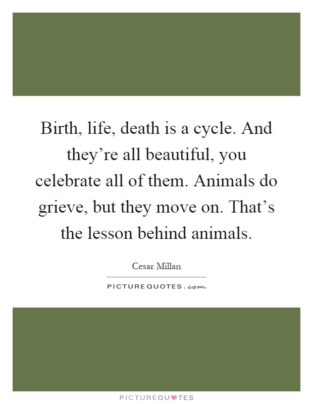 Birth, life, death is a cycle. And they're all beautiful, you celebrate all of them. Animals do grieve, but they move on. That's the lesson behind animals Picture Quote #1
