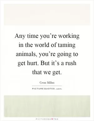 Any time you’re working in the world of taming animals, you’re going to get hurt. But it’s a rush that we get Picture Quote #1