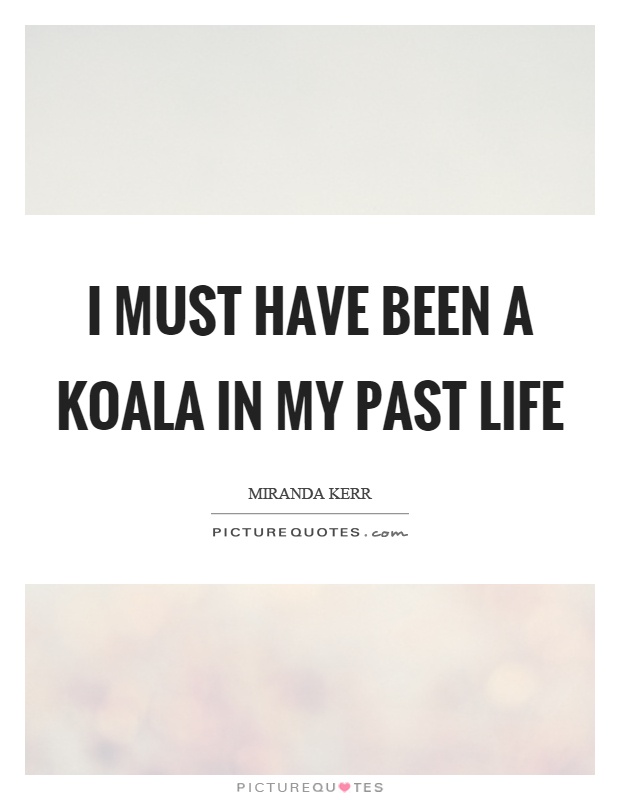 I must have been a koala in my past life Picture Quote #1