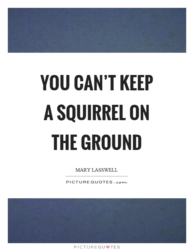 You can't keep a squirrel on the ground Picture Quote #1