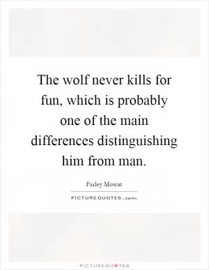 The wolf never kills for fun, which is probably one of the main differences distinguishing him from man Picture Quote #1