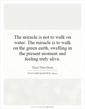 The miracle is not to walk on water. The miracle is to walk on the green earth, swelling in the present moment and feeling truly alive Picture Quote #1