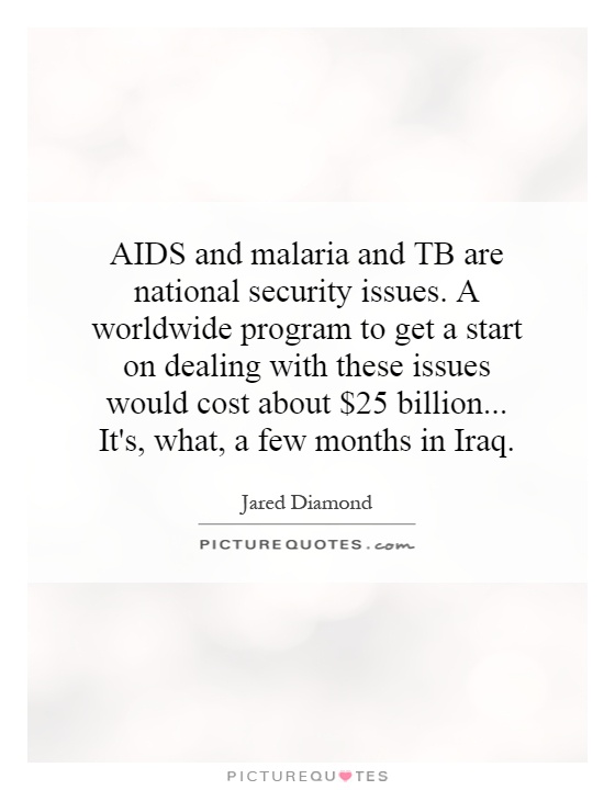 AIDS and malaria and TB are national security issues. A worldwide program to get a start on dealing with these issues would cost about $25 billion... It's, what, a few months in Iraq Picture Quote #1