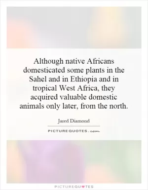 Although native Africans domesticated some plants in the Sahel and in Ethiopia and in tropical West Africa, they acquired valuable domestic animals only later, from the north Picture Quote #1