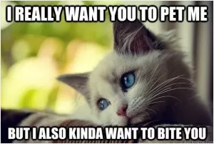 I really want you to pet me but I also kinda want to bite you Picture Quote #1