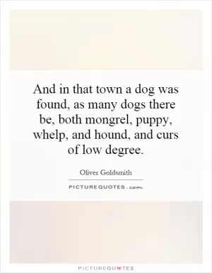 And in that town a dog was found, as many dogs there be, both mongrel, puppy, whelp, and hound, and curs of low degree Picture Quote #1