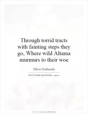 Through torrid tracts with fainting steps they go, Where wild Altama murmurs to their woe Picture Quote #1