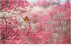 Life: The greatest journey you will ever be on Picture Quote #1