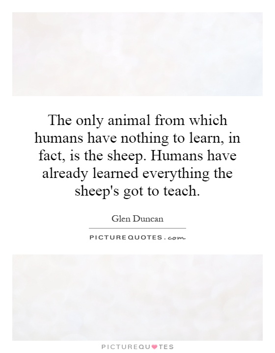 The only animal from which humans have nothing to learn, in fact, is the sheep. Humans have already learned everything the sheep's got to teach Picture Quote #1