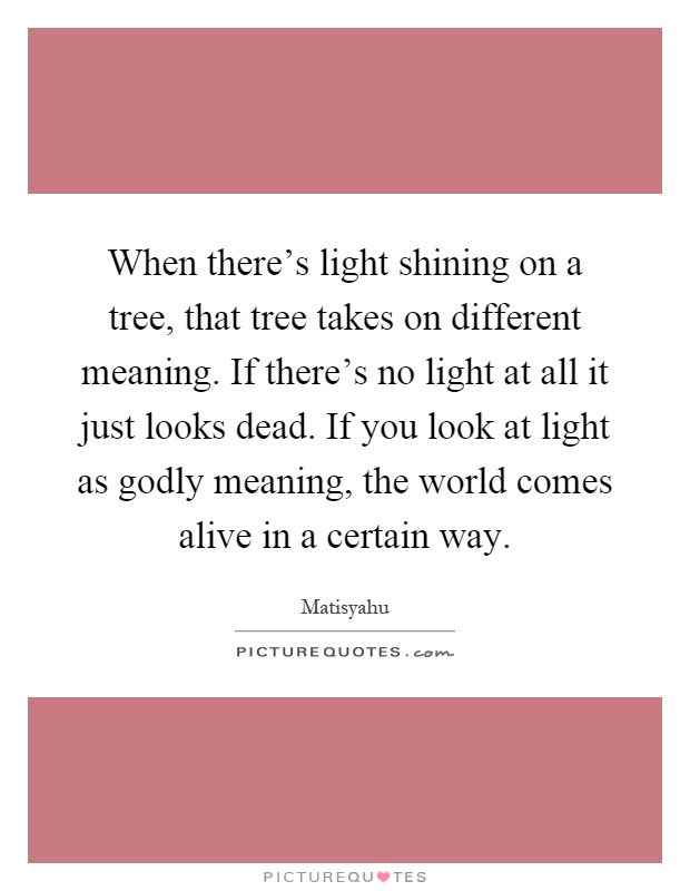 When there's light shining on a tree, that tree takes on different meaning. If there's no light at all it just looks dead. If you look at light as godly meaning, the world comes alive in a certain way Picture Quote #1