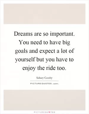 Dreams are so important. You need to have big goals and expect a lot of yourself but you have to enjoy the ride too Picture Quote #1