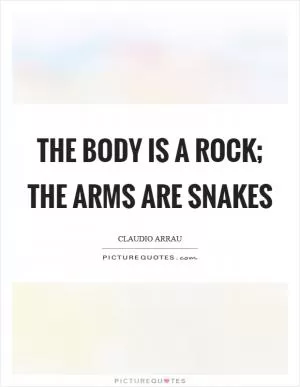 The body is a rock; the arms are snakes Picture Quote #1