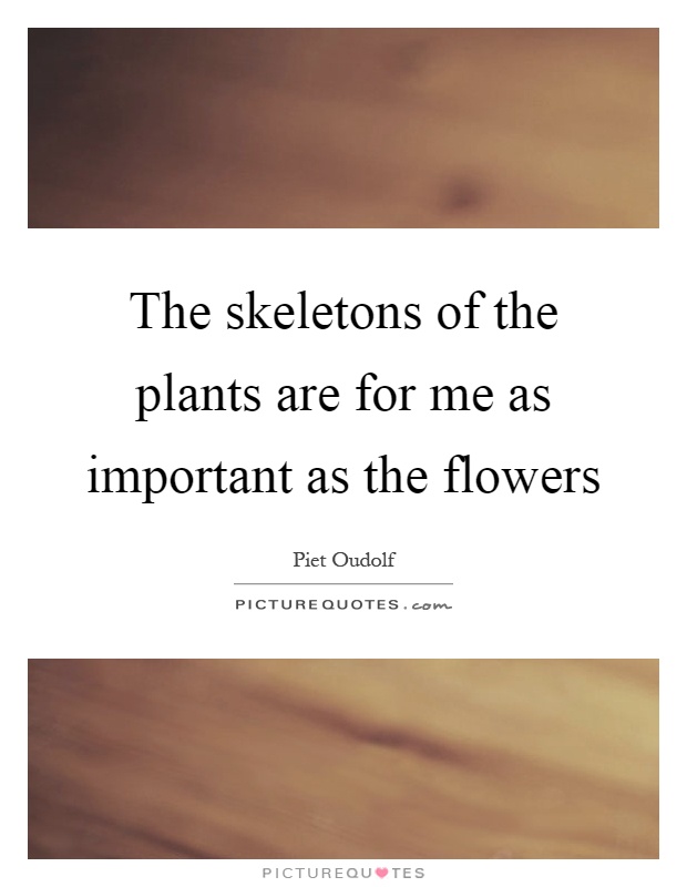 The skeletons of the plants are for me as important as the flowers Picture Quote #1