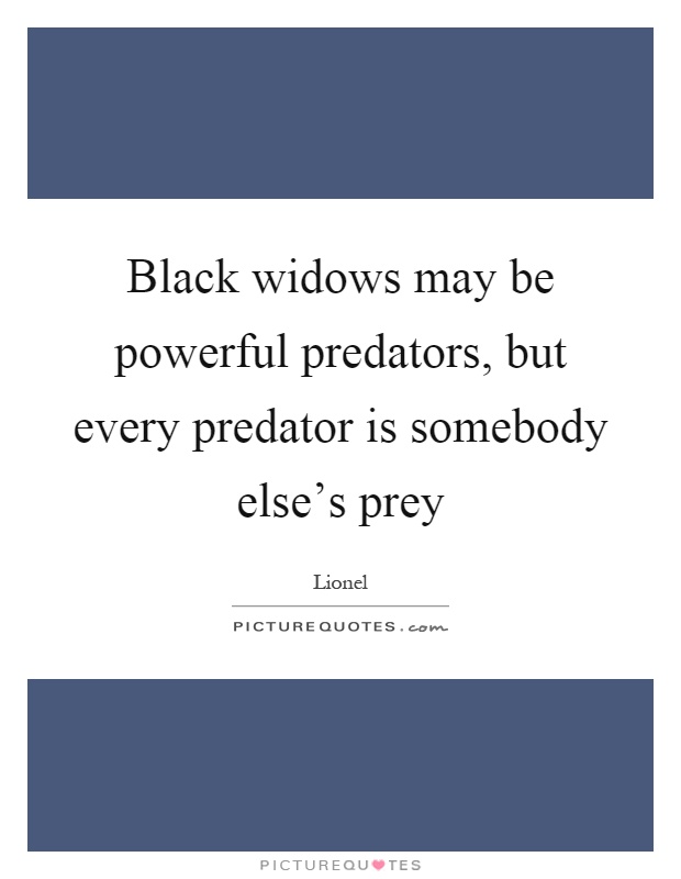 Black widows may be powerful predators, but every predator is somebody else's prey Picture Quote #1