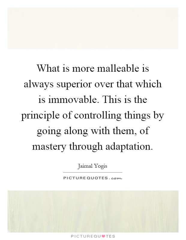 What is more malleable is always superior over that which is immovable. This is the principle of controlling things by going along with them, of mastery through adaptation Picture Quote #1
