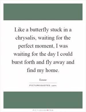 Like a butterfly stuck in a chrysalis, waiting for the perfect moment, I was waiting for the day I could burst forth and fly away and find my home Picture Quote #1