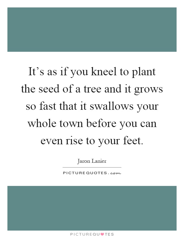 It's as if you kneel to plant the seed of a tree and it grows so fast that it swallows your whole town before you can even rise to your feet Picture Quote #1