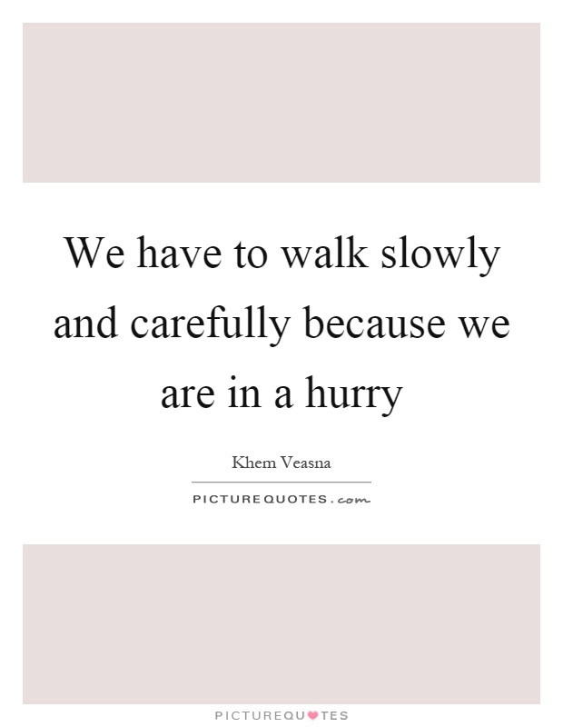 We have to walk slowly and carefully because we are in a hurry Picture Quote #1