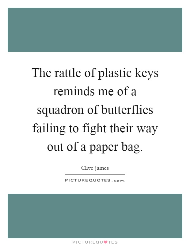The rattle of plastic keys reminds me of a squadron of butterflies failing to fight their way out of a paper bag Picture Quote #1