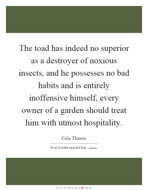 The toad has indeed no superior as a destroyer of noxious insects, and he possesses no bad habits and is entirely inoffensive himself, every owner of a garden should treat him with utmost hospitality Picture Quote #1