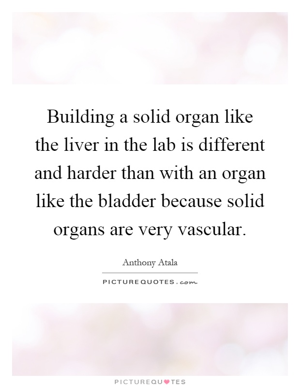 Building a solid organ like the liver in the lab is different and harder than with an organ like the bladder because solid organs are very vascular Picture Quote #1
