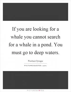 If you are looking for a whale you cannot search for a whale in a pond. You must go to deep waters Picture Quote #1