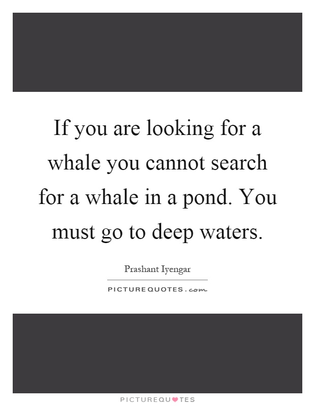 If you are looking for a whale you cannot search for a whale in a pond. You must go to deep waters Picture Quote #1