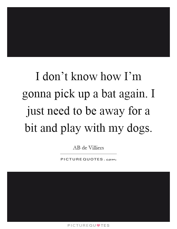 I don't know how I'm gonna pick up a bat again. I just need to be away for a bit and play with my dogs Picture Quote #1