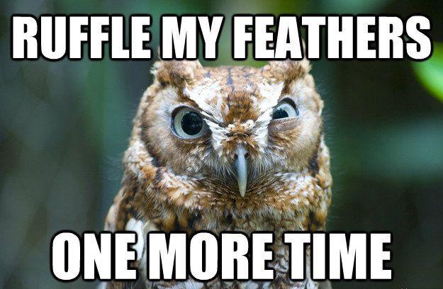 Ruffle my feathers one more time Picture Quote #1