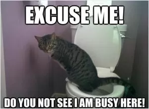 Excuse me! Do you not see I am busy here! Picture Quote #1