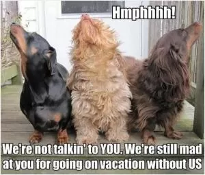 Hmphhhh! We’re not talkin’ to YOU. We’re still mad at you for going on vacation without US Picture Quote #1