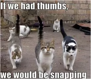 If we had thumbs, we would be snapping Picture Quote #1