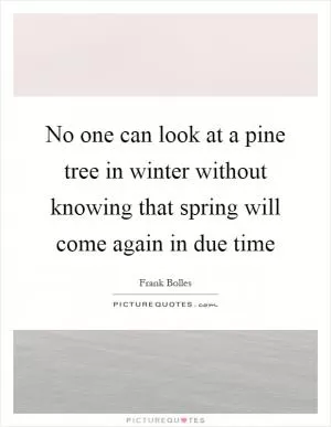 No one can look at a pine tree in winter without knowing that spring will come again in due time Picture Quote #1