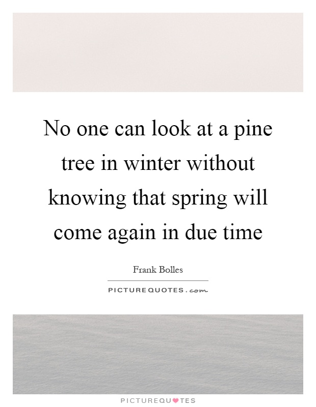 No one can look at a pine tree in winter without knowing that spring will come again in due time Picture Quote #1
