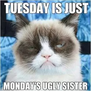 Tuesday is just Monday’s ugly sister Picture Quote #1