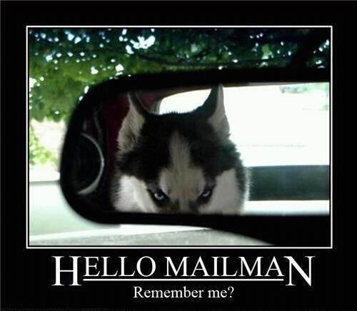 Hello mailman. Remember me? Picture Quote #1