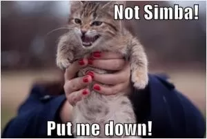 Not Simba! Put me down Picture Quote #1