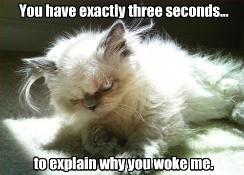 You have exactly three seconds to explain why you woke me Picture Quote #1