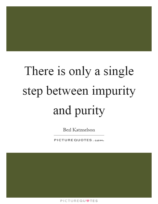 There is only a single step between impurity and purity Picture Quote #1