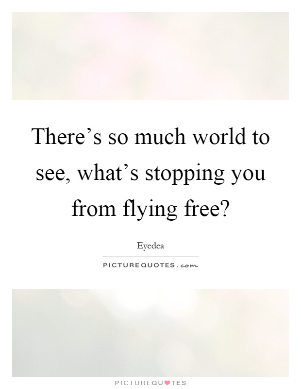 There's so much world to see, what's stopping you from flying free? Picture Quote #1