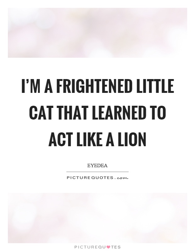I'm a frightened little cat that learned to act like a lion Picture Quote #1
